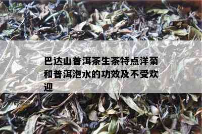 巴达山普洱茶生茶特点洋菊和普洱泡水的功效及不受欢迎