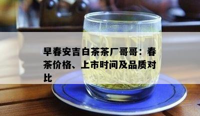 早春安吉白茶茶厂哥哥：春茶价格、上市时间及品质对比