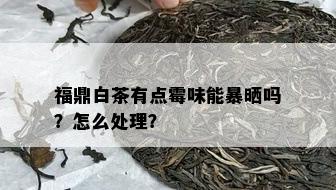 福鼎白茶有点霉味能暴晒吗？怎么处理？