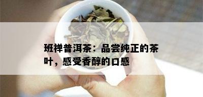 班禅普洱茶：品尝纯正的茶叶，感受香醇的口感