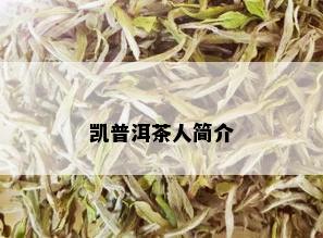 凯普洱茶人简介