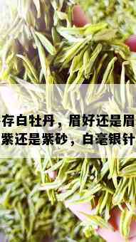 多存白牡丹，眉好还是眉好，紫还是紫砂，白毫银针