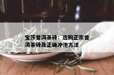 宝莎普洱茶砖：选购正宗普洱茶砖及正确冲泡方法