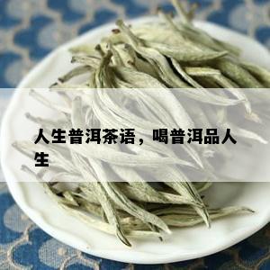 人生普洱茶语，喝普洱品人生