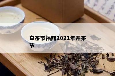 白茶节福鼎2021年开茶节