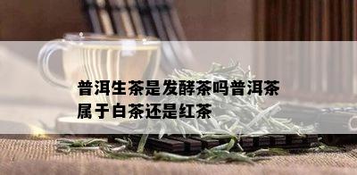 普洱生茶是发酵茶吗普洱茶属于白茶还是红茶