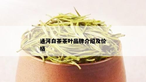 通河白茶茶叶品牌介绍及价格