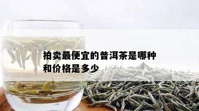 拍卖更便宜的普洱茶是哪种和价格是多少