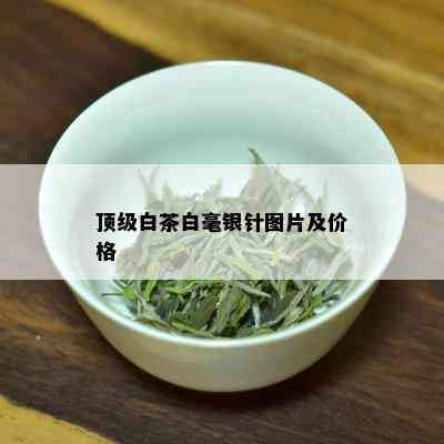 顶级白茶白毫银针图片及价格