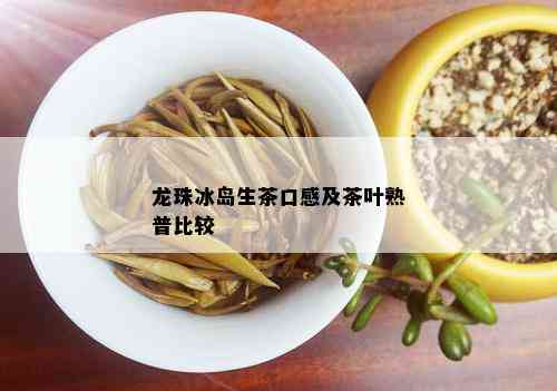 龙珠冰岛生茶口感及茶叶熟普比较