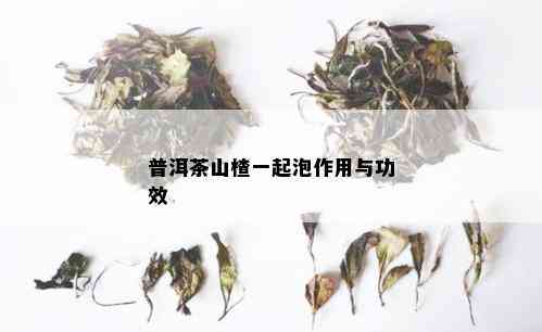 普洱茶山楂一起泡作用与功效