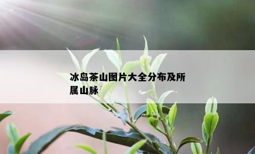 冰岛茶山图片大全分布及所属山脉