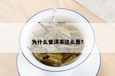 为什么普洱茶这么贵？