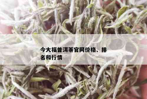 今大福普洱茶官网价格、排名和行情