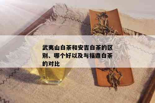 武夷山白茶和安吉白茶的区别、哪个好以及与福鼎白茶的对比