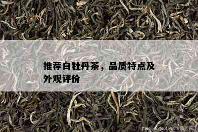 推荐白牡丹茶，品质特点及外观评价