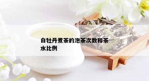 白牡丹煮茶的泡茶次数和茶水比例