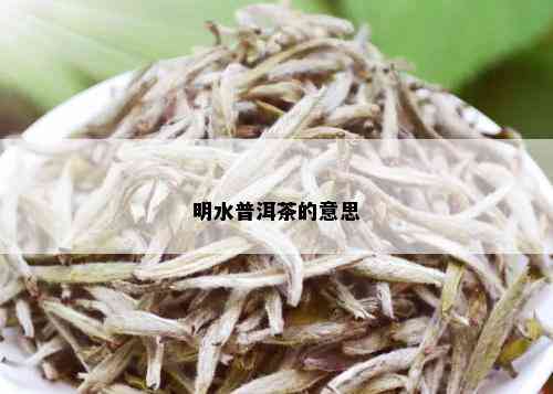 明水普洱茶的意思