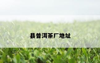 县普洱茶厂地址