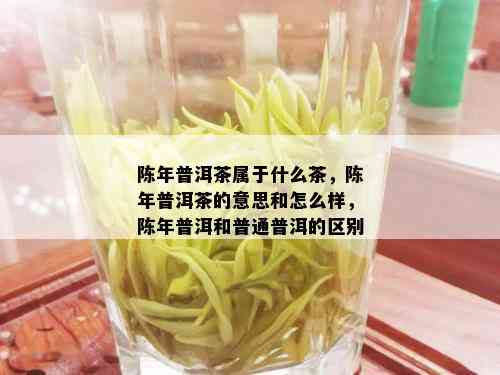 陈年普洱茶属于什么茶，陈年普洱茶的意思和怎么样，陈年普洱和普通普洱的区别