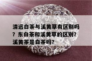 清远白茶与溪黄草有区别吗？东白茶和溪黄草的区别？溪黄茶是白茶吗？