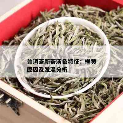 普洱茶新茶汤色特征：橙黄原因及发混分析