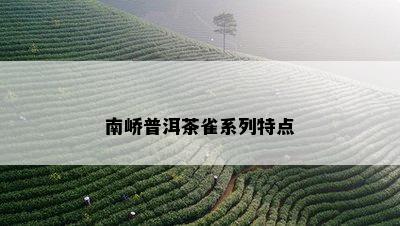 南峤普洱茶雀系列特点