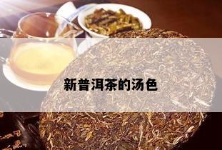 新普洱茶的汤色