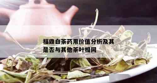 福鼎白茶用价值分析及其是否与其他茶叶相同