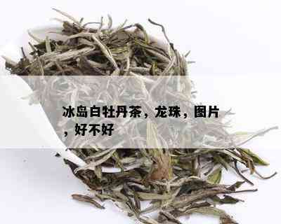 冰岛白牡丹茶，龙珠，图片，好不好