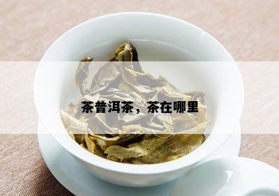 茶普洱茶，茶在哪里