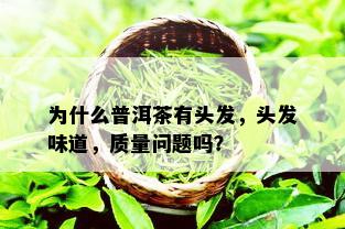 为什么普洱茶有头发，头发味道，质量问题吗？