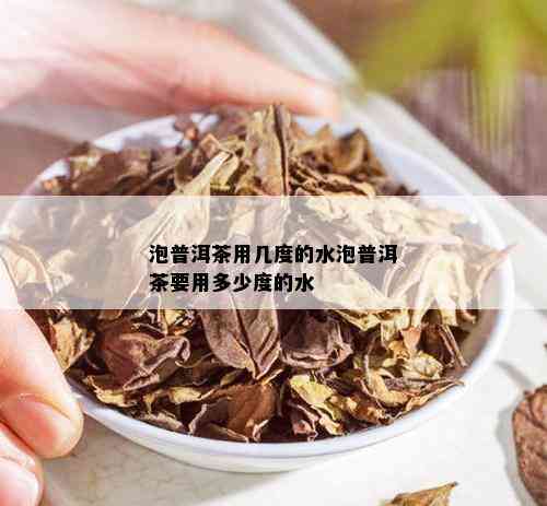 泡普洱茶用几度的水泡普洱茶要用多少度的水