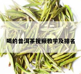 喝的普洱茶视频教学及排名