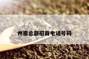 州眉总部招商电话号码