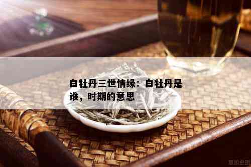 白牡丹三世情缘：白牡丹是谁，时期的意思