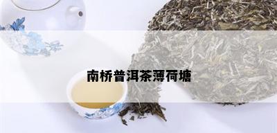 南桥普洱茶薄荷塘