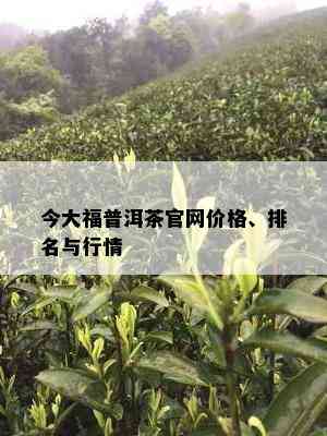 今大福普洱茶官网价格、排名与行情