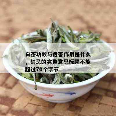 白茶功效与危害作用是什么，禁忌的完整意思标题不能超过70个字节