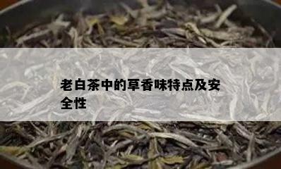 老白茶中的草香味特点及安全性