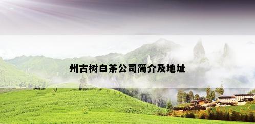 州古树白茶公司简介及地址