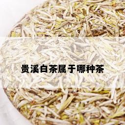 贵溪白茶属于哪种茶