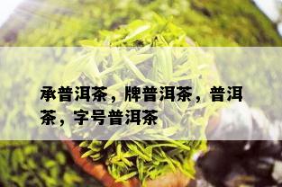 承普洱茶，牌普洱茶，普洱茶，字号普洱茶