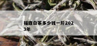 福鼎白茶多少钱一斤2023年