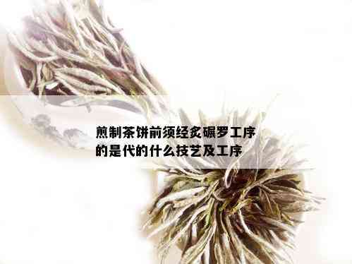 煎制茶饼前须经炙碾罗工序的是代的什么技艺及工序