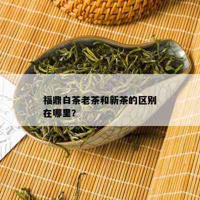 福鼎白茶老茶和新茶的区别在哪里？