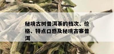 秘境古树普洱茶的档次、价格、特点口感及秘境古寨普洱