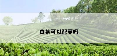 白茶可以配萝吗