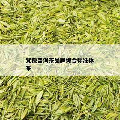 梵镜普洱茶品牌综合标准体系