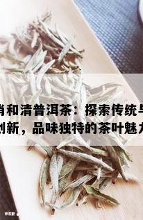 肖和清普洱茶：探索传统与创新，品味独特的茶叶魅力